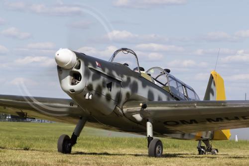 fot.-Marek-Kwasowski Damian-Kochanowski-11